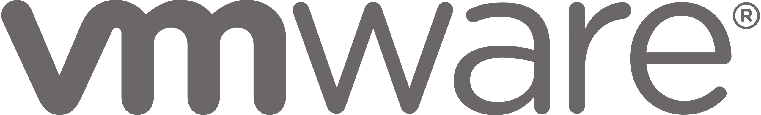 VMware